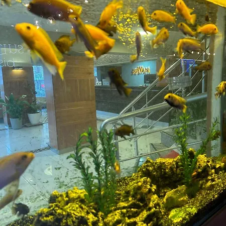 Hotell Sultan Hotel-restaurant-bistro 3*