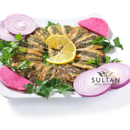 Sultan Hotel-restaurant-bistro 酒店 锡瓦斯