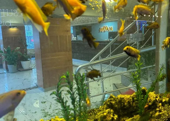 Hotell Sultan Hotel-restaurant-bistro 3*